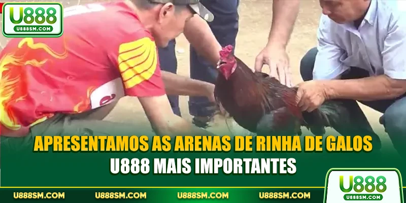 Rinha De Galos U888 - A Plataforma De Jogos Definitiva 1 Apresentamos as arenas de Rinha de galos U888 mais importantes